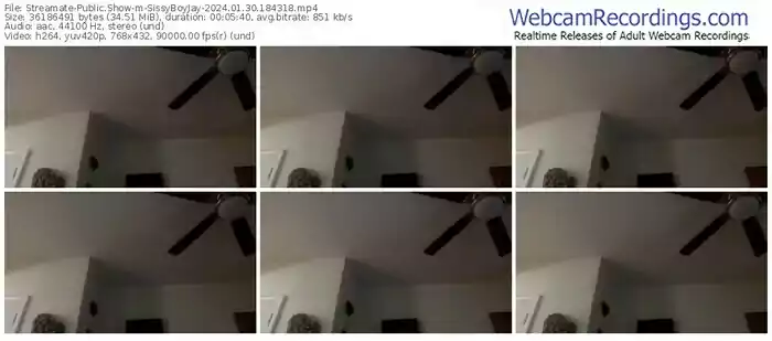 streamate-sissyboyjay-01-30-2024-18-43-18