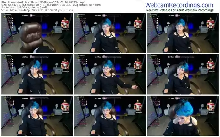 streamate-wallacee-01-30-2024-18-29-34