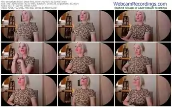 streamate-be_wow-01-31-2024-22-46-57