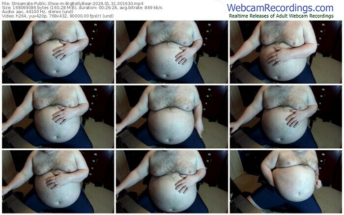 streamate-bigbellybear-01-31-2024-00-16-30