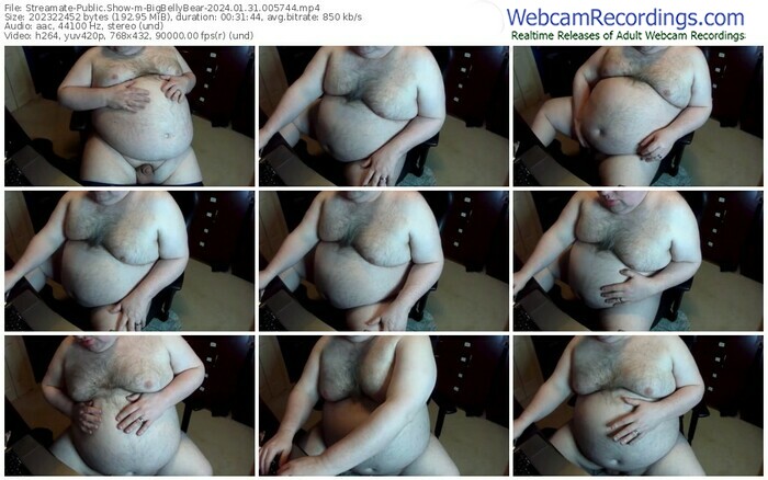 streamate-bigbellybear-01-31-2024-00-57-44