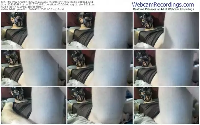 streamate-averagehousebunny-02-01-2024-23-13-44