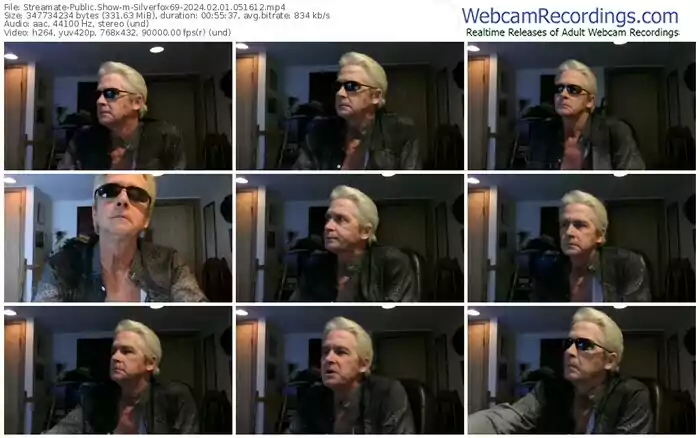 streamate-silverfox69-02-01-2024-05-16-12