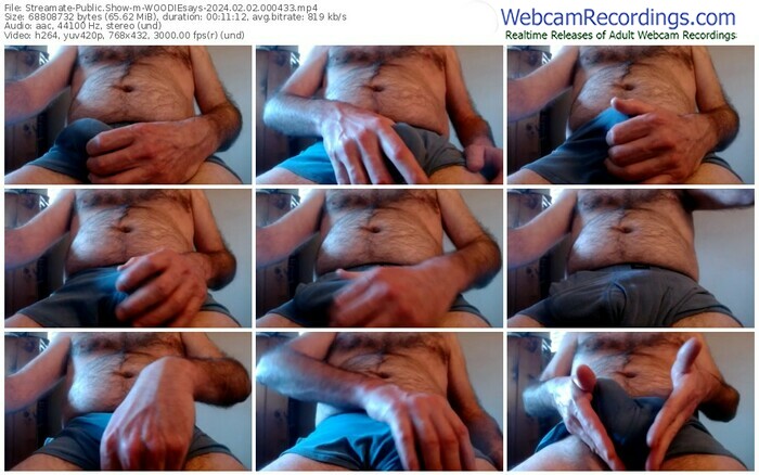 streamate-woodiesays-02-02-2024-00-04-33