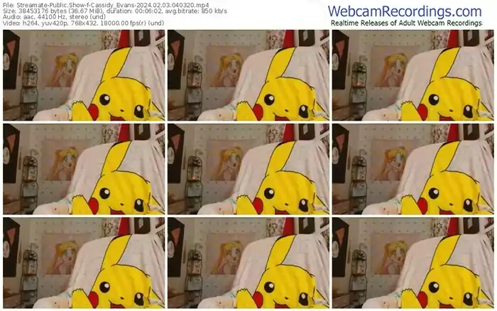 streamate-cassidy_evans-02-03-2024-04-03-20