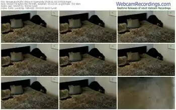 streamate-djemandy-02-03-2024-22-03-28