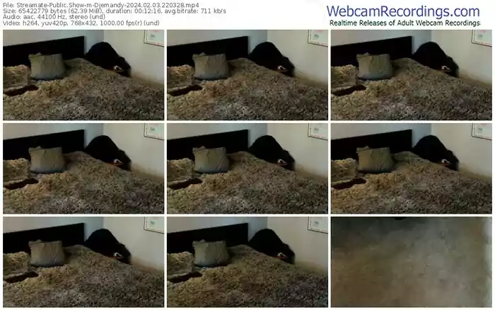 streamate-djemandy-02-03-2024-22-03-28