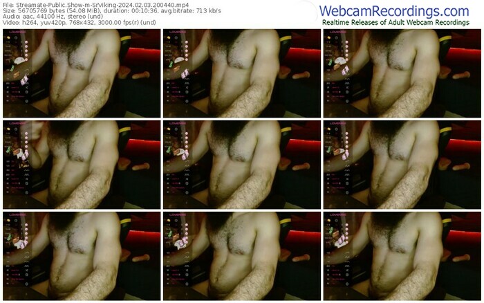 streamate-srviking-02-03-2024-20-04-40
