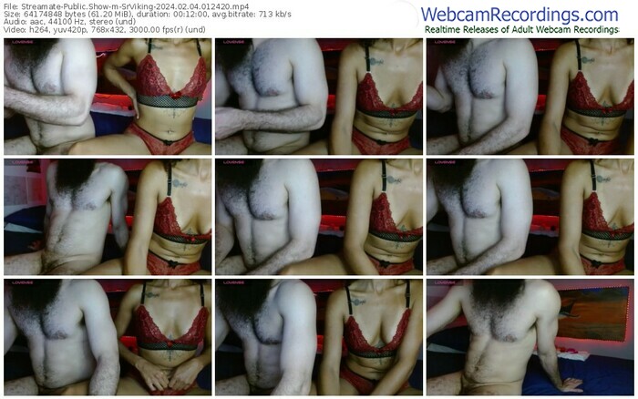 streamate-srviking-02-04-2024-01-24-20