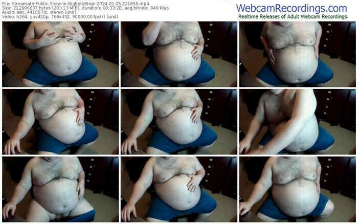 streamate-bigbellybear-02-05-2024-22-18-56