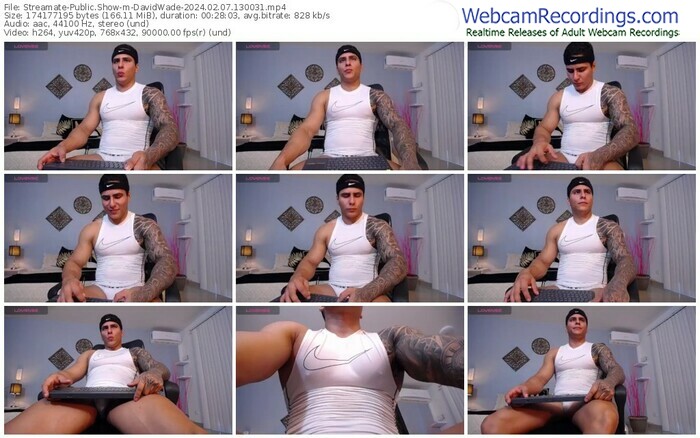 streamate-davidwade-02-07-2024-13-00-31