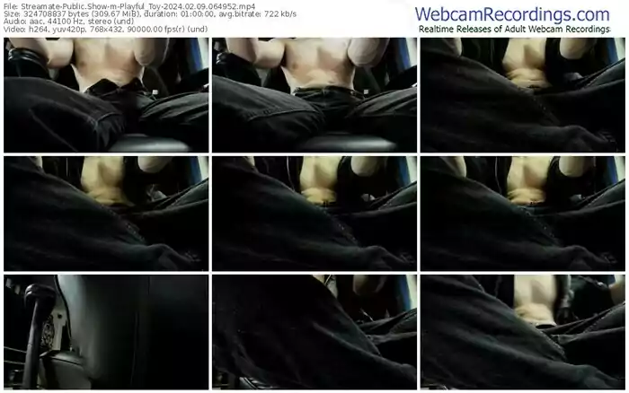 streamate-playful_toy-02-09-2024-06-49-52