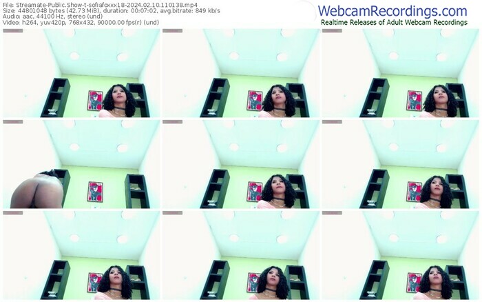 streamate-sofiafoxxx18-02-10-2024-11-01-38