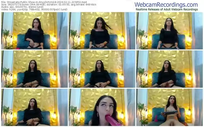 streamate-anyydirtyts18-02-11-2024-21-58-53