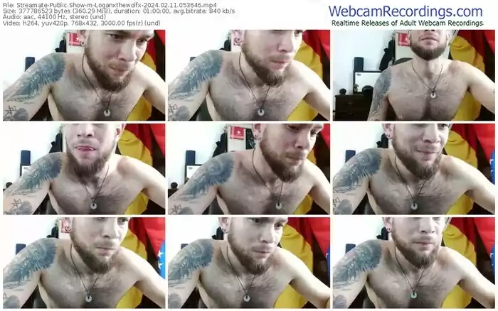 streamate-loganxthewolfx-02-11-2024-05-36-46