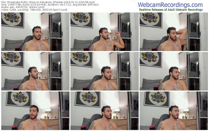 streamate-salvatore_wheeler-02-11-2024-03-21-58