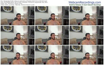 streamate-salvatore_wheeler-02-11-2024-06-10-37