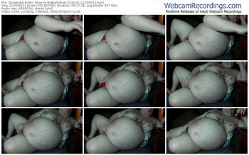 streamate-bigbellybear-02-12-2024-00-09-13