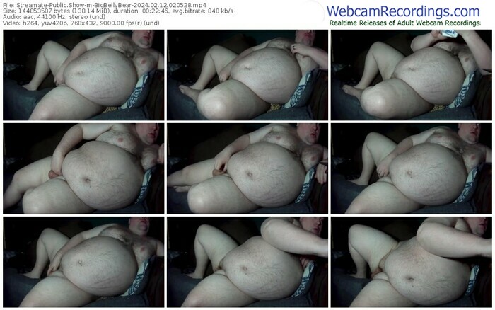 streamate-bigbellybear-02-12-2024-02-05-28