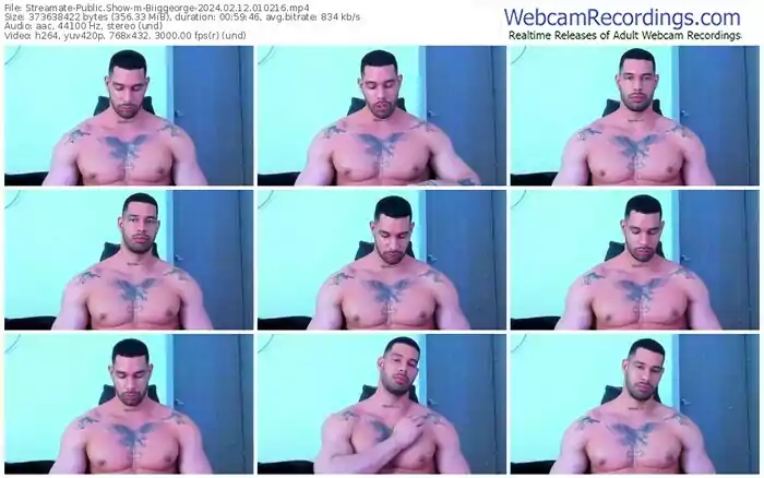 streamate-biiggeorge-02-12-2024-01-02-16
