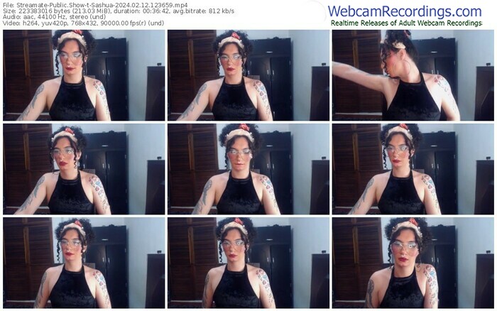 streamate-sashua-02-12-2024-12-36-59