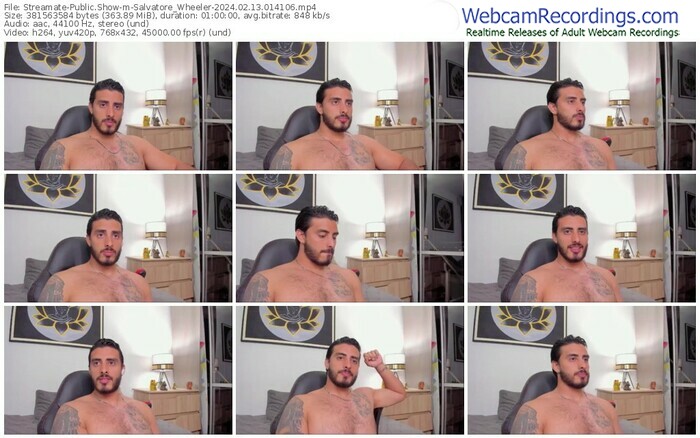 streamate-salvatore_wheeler-02-13-2024-01-41-06