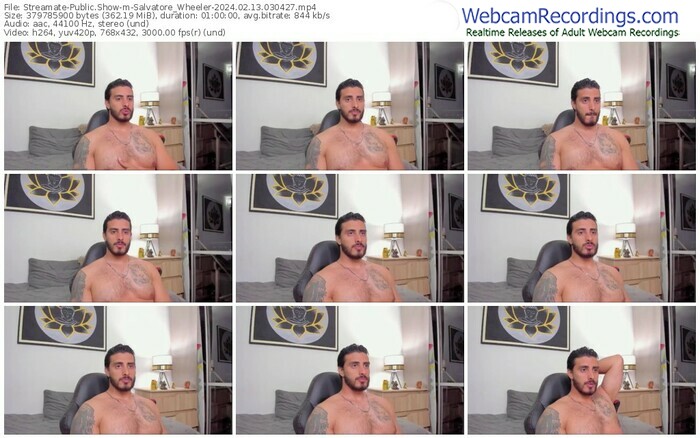 streamate-salvatore_wheeler-02-13-2024-03-04-27