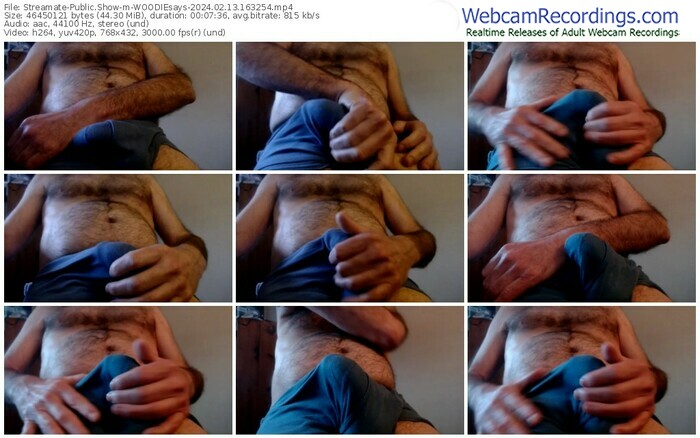 streamate-woodiesays-02-13-2024-16-32-54