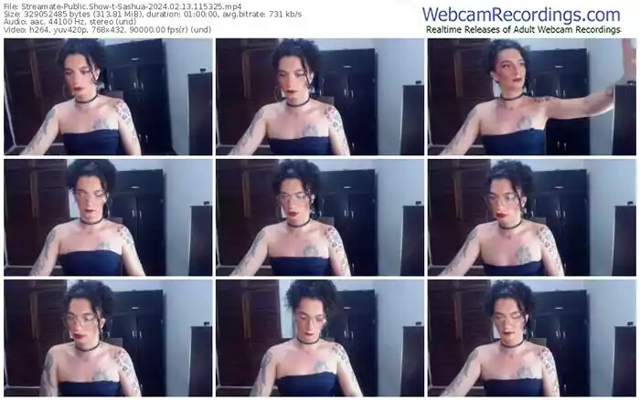 streamate-sashua-02-13-2024-11-53-25