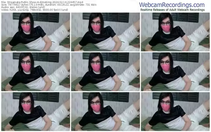 streamate-emoking-02-14-2024-22-44-57