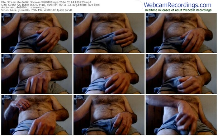 streamate-woodiesays-02-14-2024-18-01-23