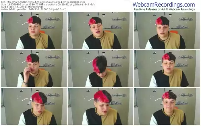 streamate-thiagotsboyxzx-02-14-2024-04-01-01