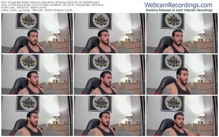 streamate-salvatore_wheeler-02-16-2024-06-28-35