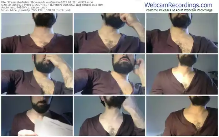 streamate-viciousdeville-02-22-2024-14-19-29