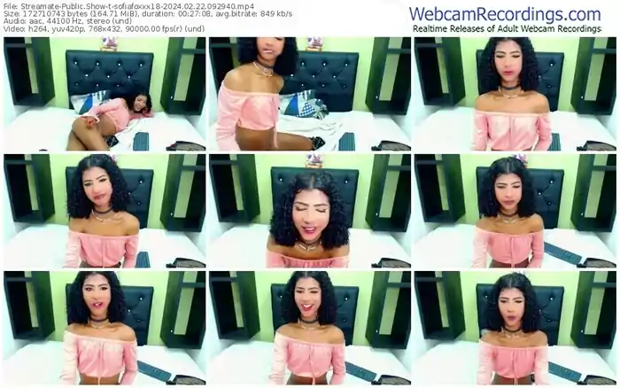 streamate-sofiafoxxx18-02-22-2024-09-29-40