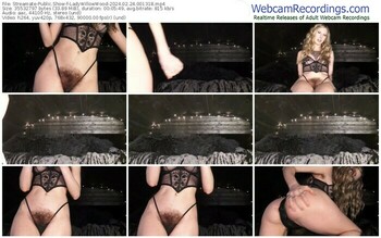 streamate-ladywillowwood-02-24-2024-00-13-18