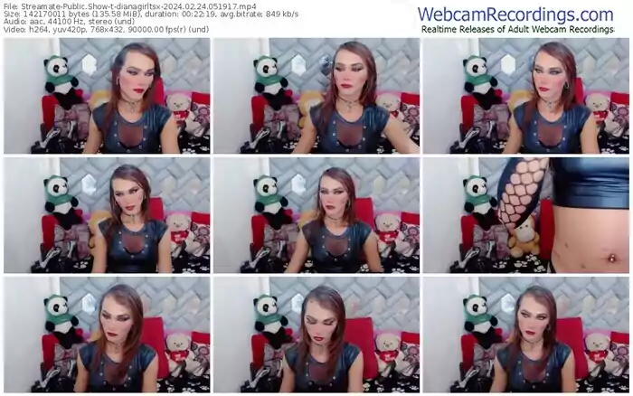 streamate-dianagirltsx-02-24-2024-05-19-17