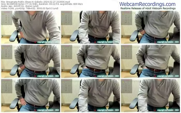 streamate-gobelix-02-27-2024-15-36-04