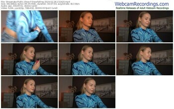 streamate-snowfalling-02-28-2024-13-24-20