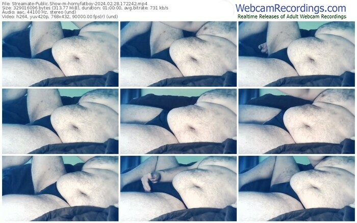 streamate-hornyfatboy-02-28-2024-17-22-42