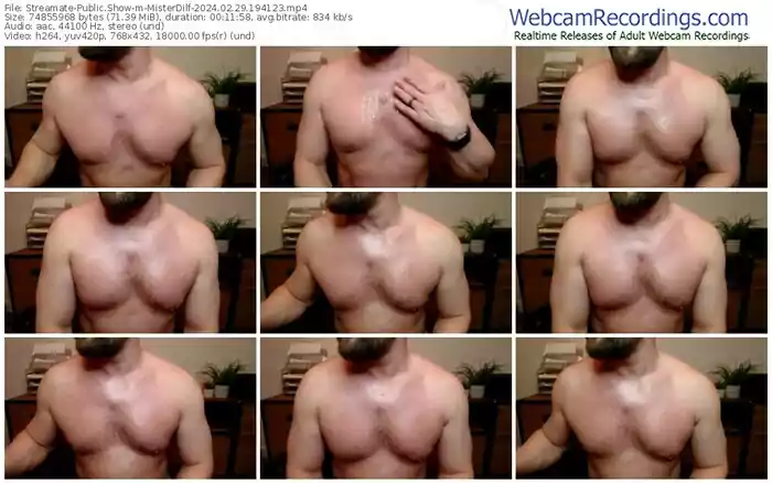 streamate-misterdilf-02-29-2024-19-41-23