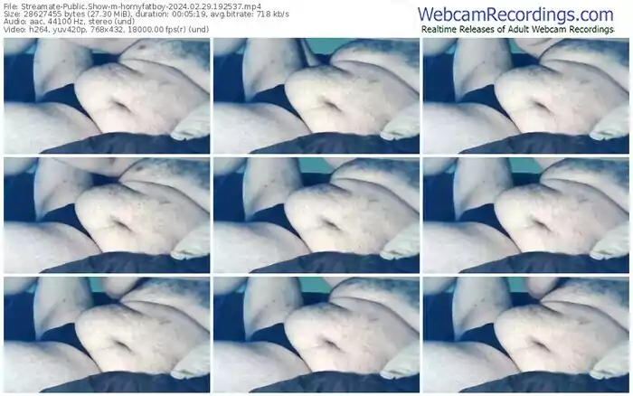 streamate-hornyfatboy-02-29-2024-19-25-37