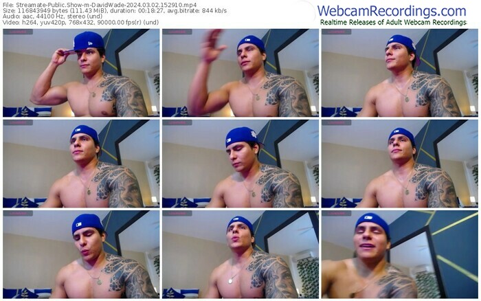 streamate-davidwade-03-02-2024-15-29-10