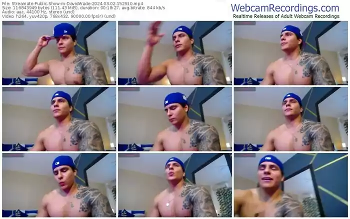 streamate-davidwade-03-02-2024-15-29-10