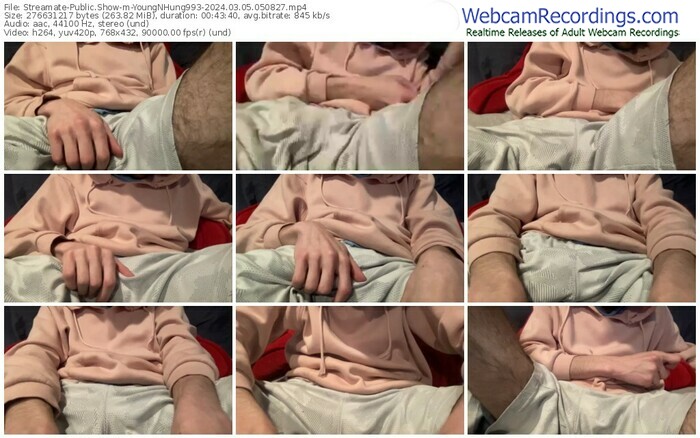 streamate-youngnhung993-03-05-2024-05-08-27
