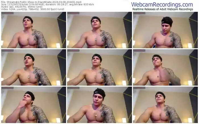 streamate-davidwade-03-08-2024-20-44-31