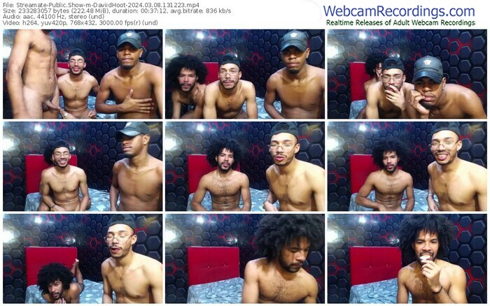 streamate-daviidhoot-03-08-2024-13-12-23