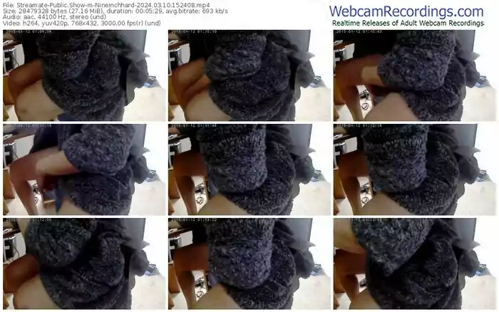 streamate-nineinchhard-03-10-2024-15-24-08