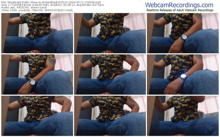 streamate-andresbigdick25cm-03-11-2024-13-36-34