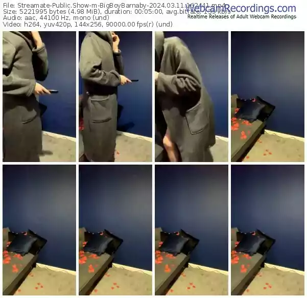 streamate-bigboybarnaby-03-11-2024-16-24-41